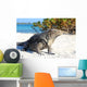 Iguana on white sand beach in Cayo Largo, Cuba Wall Mural