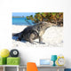 Iguana on white sand beach in Cayo Largo, Cuba Wall Mural