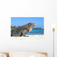 Iguana on white sand beach in Cayo Largo, Cuba Wall Mural