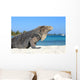 Iguana on white sand beach in Cayo Largo, Cuba Wall Mural