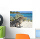 Iguana on white sand beach in Cayo Largo, Cuba Wall Mural