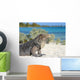 Iguana on white sand beach in Cayo Largo, Cuba Wall Mural