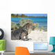 Iguana on white sand beach in Cayo Largo, Cuba Wall Mural