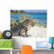 Iguana on white sand beach in Cayo Largo, Cuba Wall Mural