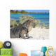 Iguana on white sand beach in Cayo Largo, Cuba Wall Mural