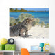 Iguana on white sand beach in Cayo Largo, Cuba Wall Mural