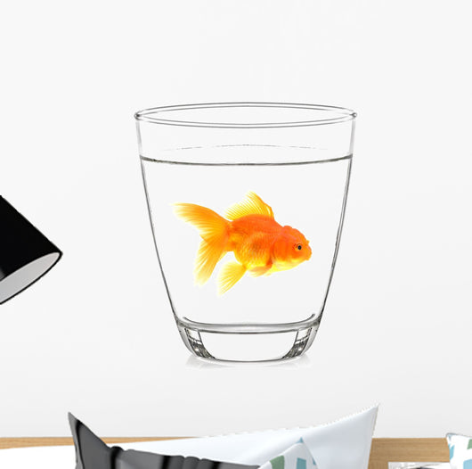 Goldfish Glass with White Wall Decal
