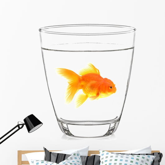 Goldfish Glass with White Wall Decal