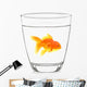 Goldfish Glass with White Wall Decal