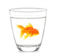 Goldfish Glass with White Wall Decal