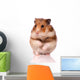 Hamster White Wall Decal