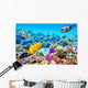 Underwater World with Corals Wall Decal Design 2