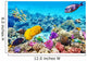 Underwater World with Corals Wall Decal Design 2