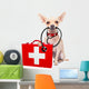 Medical Doctor Dog Wall Decal Design 2