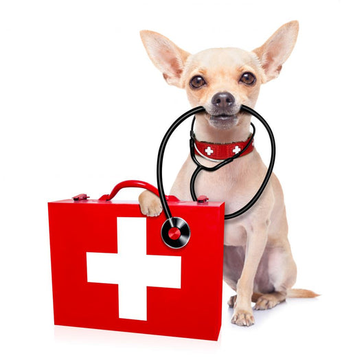 Medical Doctor Dog Wall Decal Design 2