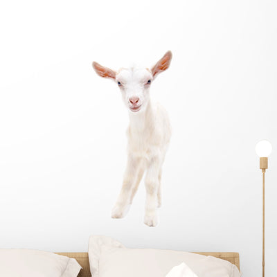 Portrait Little White Goat Wall Decal shown on a wall
