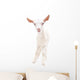 Portrait Little White Goat Wall Decal