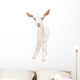 Portrait Little White Goat Wall Decal