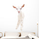 Portrait Little White Goat Wall Decal