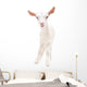 Portrait Little White Goat Wall Decal