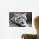 Close-up Snow Leopard Wall Decal