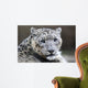 Close-up Snow Leopard Wall Decal