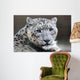 Close-up Snow Leopard Wall Decal
