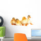 Duckling Fun Wall Decal