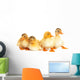 Duckling Fun Wall Decal