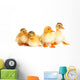 Duckling Fun Wall Decal