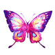 Colorful Rainbow Butterfly Wall Decal Design 4