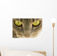 Cats Eyes Wall Decal