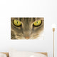 Cats Eyes Wall Decal