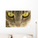 Cats Eyes Wall Decal