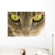 Cats Eyes Wall Decal