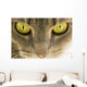 Cats Eyes Wall Decal