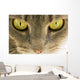 Cats Eyes Wall Decal