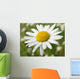 Wild Daisy 2 Wall Decal