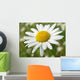 Wild Daisy 2 Wall Decal