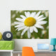 Wild Daisy 2 Wall Decal