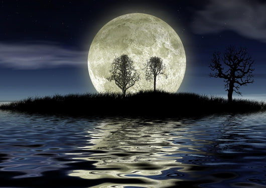 Romantic Night Wall Decal