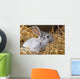 Rabbit Dry Grass Wall Decal