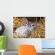 Rabbit Dry Grass Wall Decal