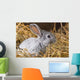 Rabbit Dry Grass Wall Decal