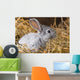 Rabbit Dry Grass Wall Decal