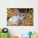 Rabbit Dry Grass Wall Decal