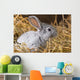 Rabbit Dry Grass Wall Decal