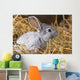 Rabbit Dry Grass Wall Decal