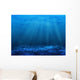 Underwater Bottom Wall Decal