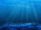 Underwater Bottom Wall Decal